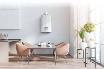 Настенный газовый котел Thermex EuroElite F40