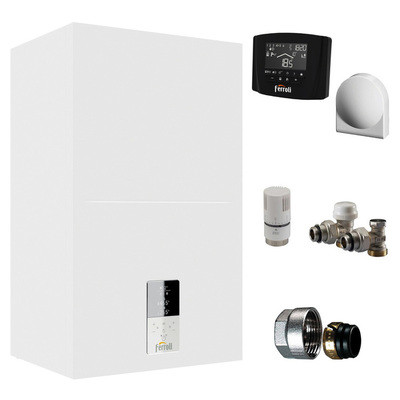 Настенный газовый котел Ferroli Bluehelix Hitech RRT 24 C (EU)