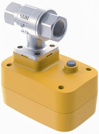 Кран с электроприводом Neptun PROFI 220В 1 1/4