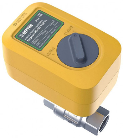 Кран с электроприводом Neptun PROFI 220В 1 1/4