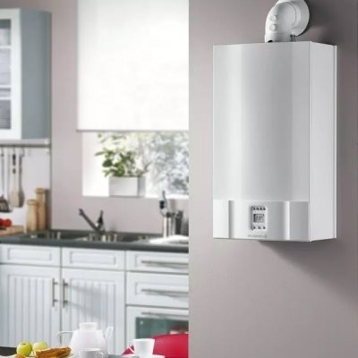 Настенный газовый котел De Dietrich MSL 31 MI FF