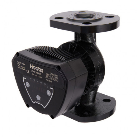 Насос для отопления Hoobs CTAE 40-60F