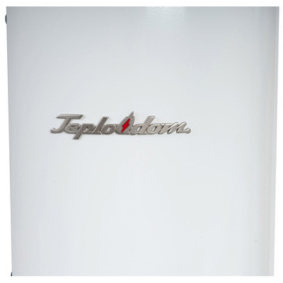Электрический котел Teplodom i-TRM SILVER StS - 9