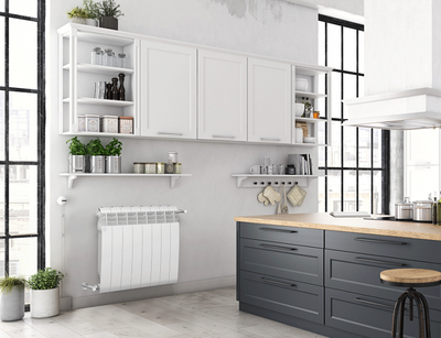 Биметаллический радиатор Royal Thermo Biliner 500 VD 6 секц. Bianco Traffico