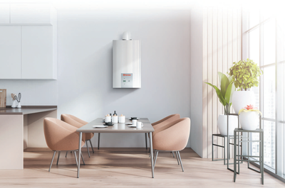 Настенный газовый котел Thermex EuroElite F13