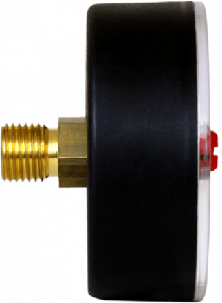 Манометр аксиальный Watts F+R101(MHA) 50/4x1/4&quot;